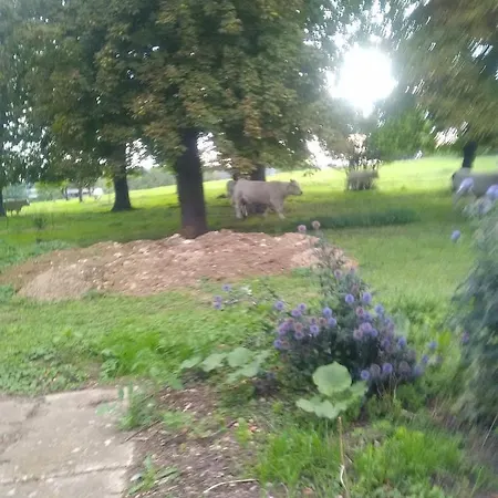 Séjour chez l'habitant Mlle Labeaume Aigueperse (Puy-de-Dome)