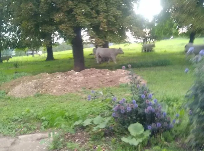 Kwatera prywatna Mlle Labeaume Aigueperse (Puy-de-Dome)